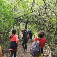 Lee Elementary students exploring the woods